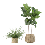 20 Photorealistic Flowers for Interiors - set 204 211 213 219