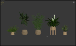 20 Photorealistic Flowers for Interiors - set 204 211 213 219
