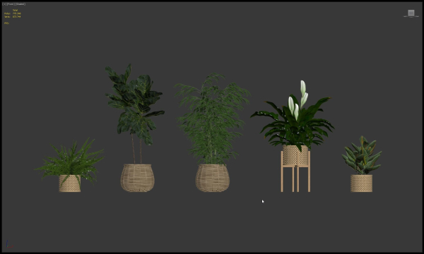 20 Photorealistic Flowers for Interiors - set 204 211 213 219