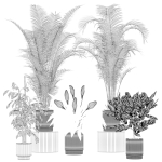 20 Photorealistic Flowers for Interiors - set 204 211 213 219