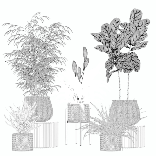 20 Photorealistic Flowers for Interiors - set 204 211 213 219