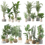 20 Photorealistic Flowers for Interiors - set 204 211 213 219