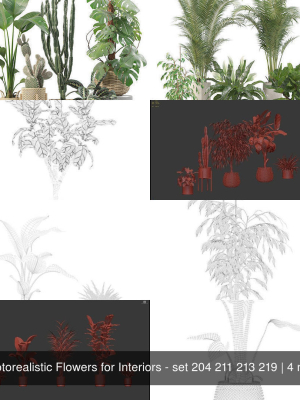 20-photorealistic-flowers-for-interiors-set-204-211-213-219-3d-model-e6a469478b