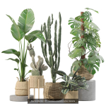 20 Photorealistic Flowers for Interiors - set 204 211 213 219