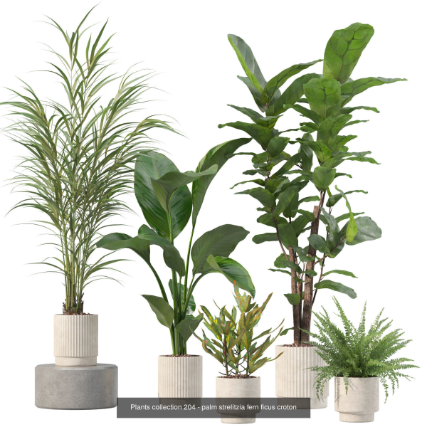 20 Photorealistic Flowers for Interiors - set 204 211 213 219