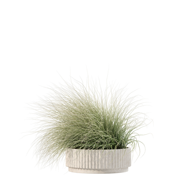 20 Photorealistic Flowers for Interiors - set 204 213 216 218