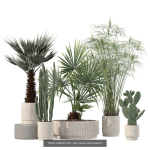 20 Photorealistic Flowers for Interiors - set 204 213 216 218