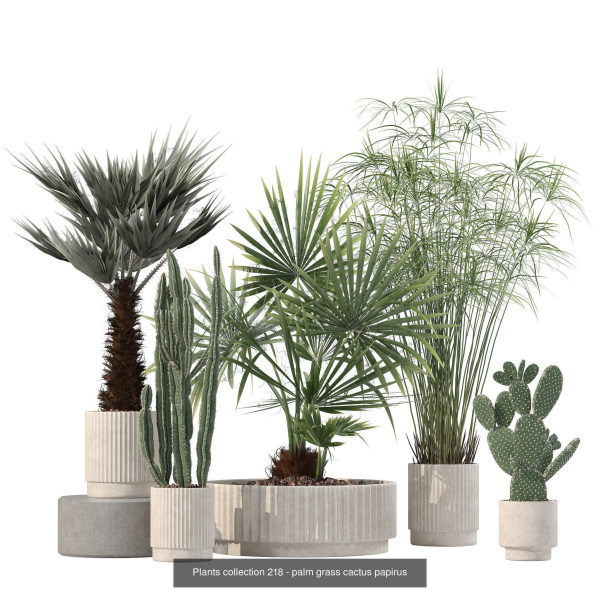 20 Photorealistic Flowers for Interiors - set 204 213 216 218