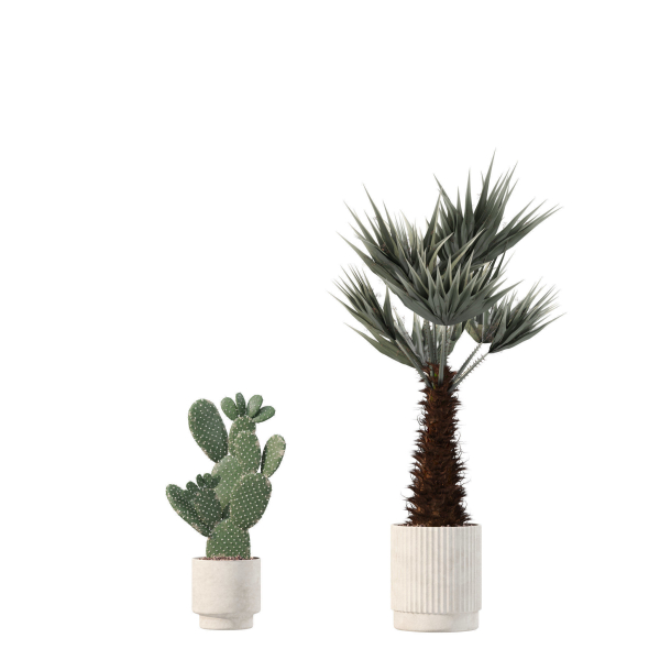 20 Photorealistic Flowers for Interiors - set 204 213 216 218