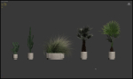 20 Photorealistic Flowers for Interiors - set 204 213 216 218