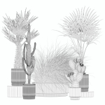 20 Photorealistic Flowers for Interiors - set 204 213 216 218