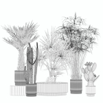 20 Photorealistic Flowers for Interiors - set 204 213 216 218
