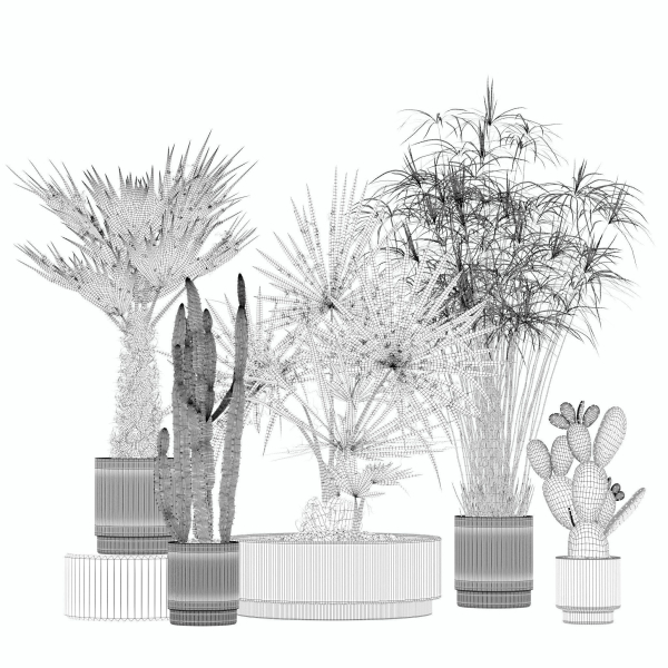 20 Photorealistic Flowers for Interiors - set 204 213 216 218