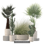 20 Photorealistic Flowers for Interiors - set 204 213 216 218