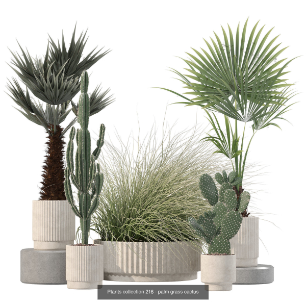 20 Photorealistic Flowers for Interiors - set 204 213 216 218