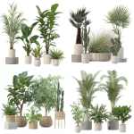 20 Photorealistic Flowers for Interiors - set 204 213 216 218