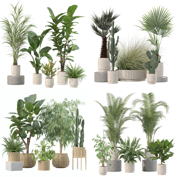 20 Photorealistic Flowers for Interiors - set 204 213 216 218