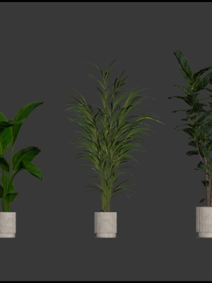 20-photorealistic-flowers-for-interiors-set-204-213-216-218-3d-model-a0c6a20c08