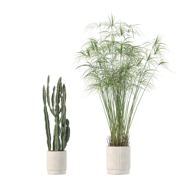 20 Photorealistic Flowers for Interiors - set 204 213 216 218