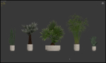 20 Photorealistic Flowers for Interiors - set 204 213 216 218