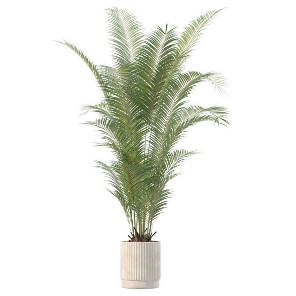 20 Photorealistic Flowers for Interiors - set 205 207 209 211