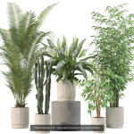 20 Photorealistic Flowers for Interiors - set 205 207 209 211