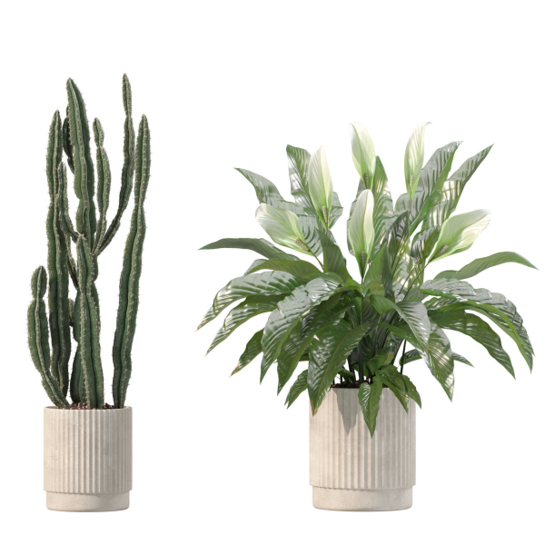 20 Photorealistic Flowers for Interiors - set 205 207 209 211