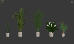 20 Photorealistic Flowers for Interiors - set 205 207 209 211