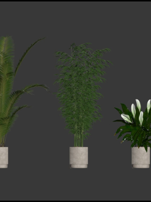 20-photorealistic-flowers-for-interiors-set-205-207-209-211-3d-model-93b7b2cd48