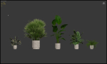 20 Photorealistic Flowers for Interiors - set 205 207 209 211
