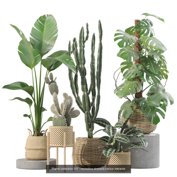 20 Photorealistic Flowers for Interiors - set 205 207 209 211