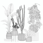 20 Photorealistic Flowers for Interiors - set 205 207 209 211