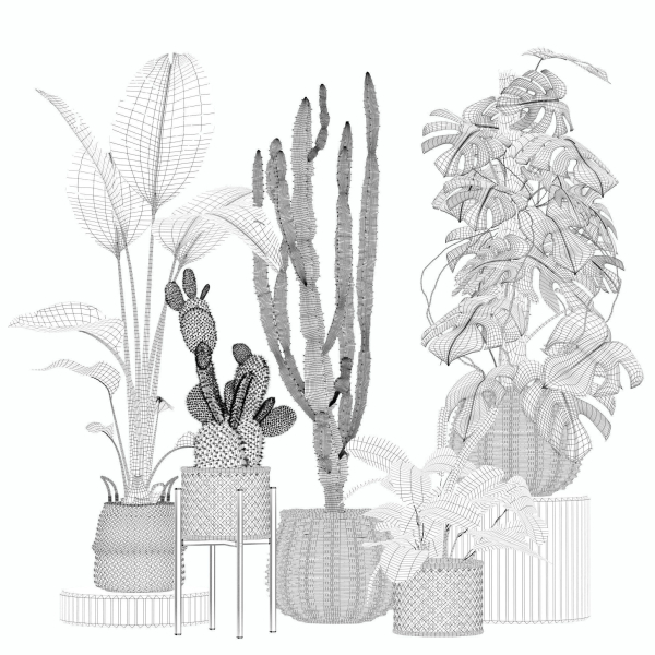 20 Photorealistic Flowers for Interiors - set 205 207 209 211