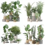 20 Photorealistic Flowers for Interiors - set 205 207 209 211