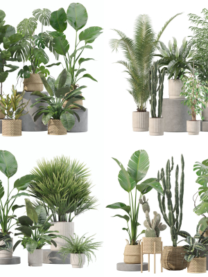 20 Photorealistic Flowers for Interiors - set 205 207 209 211