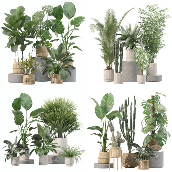 20 Photorealistic Flowers for Interiors - set 205 207 209 211