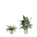 20 Photorealistic Flowers for Interiors - set 205 207 209 211