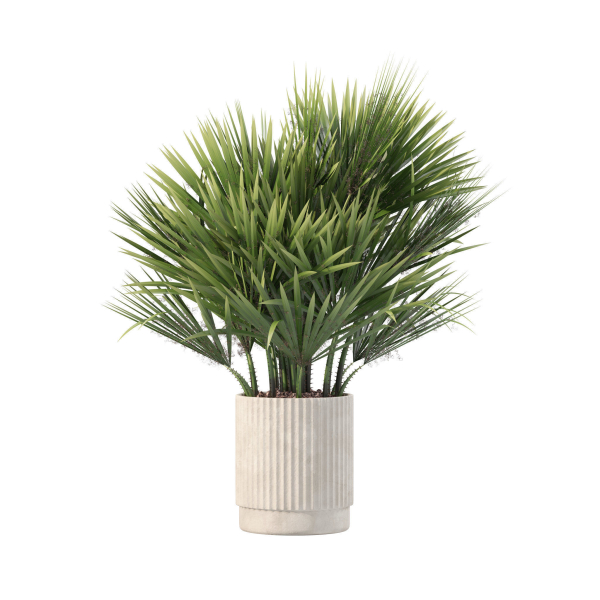 20 Photorealistic Flowers for Interiors - set 205 207 209 211