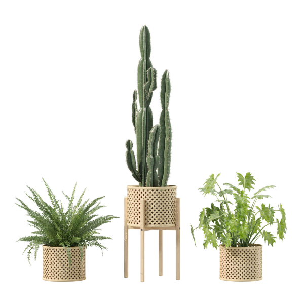 20 Photorealistic Flowers for Interiors - set 205 207 209 219