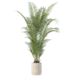 20 Photorealistic Flowers for Interiors - set 205 207 209 219