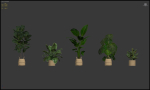 20 Photorealistic Flowers for Interiors - set 205 207 209 219