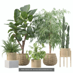 20 Photorealistic Flowers for Interiors - set 205 207 209 219