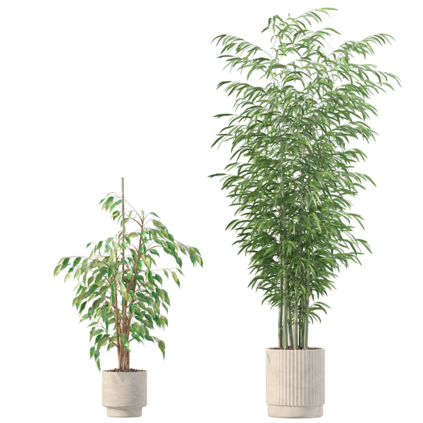 20 Photorealistic Flowers for Interiors - set 205 207 209 219