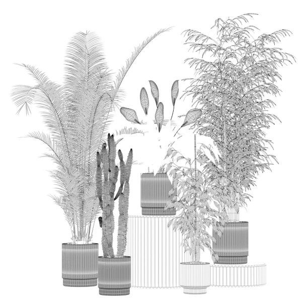 20 Photorealistic Flowers for Interiors - set 205 207 209 219
