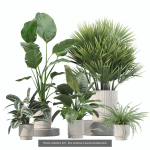 20 Photorealistic Flowers for Interiors - set 205 207 209 219