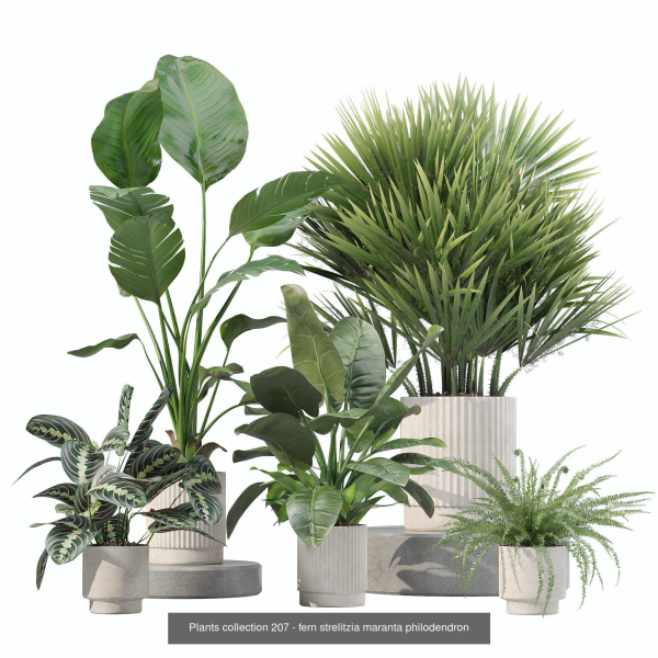 20 Photorealistic Flowers for Interiors - set 205 207 209 219