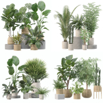 20 Photorealistic Flowers for Interiors - set 205 207 209 219