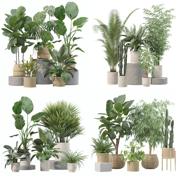 20 Photorealistic Flowers for Interiors - set 205 207 209 219