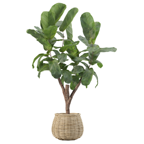 20 Photorealistic Flowers for Interiors - set 205 207 209 219