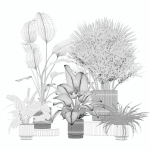 20 Photorealistic Flowers for Interiors - set 205 207 209 219